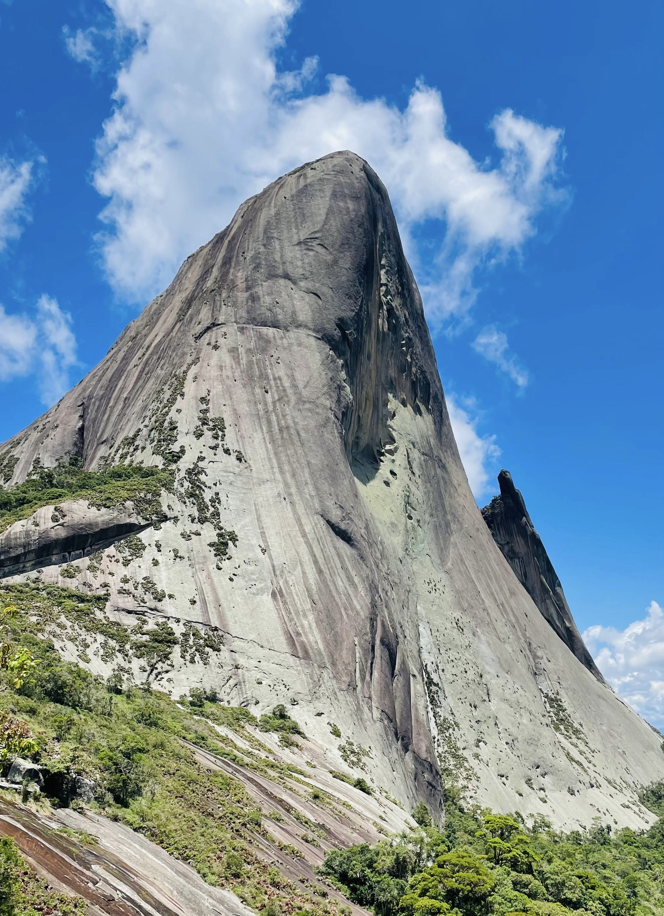Lagarto Farms — plantação de café